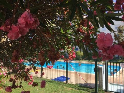 Lesjardinsfleuris Daire Mandelieu Dış mekan fotoğraf