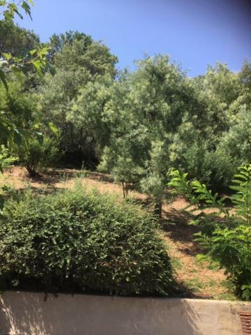 Lesjardinsfleuris Daire Mandelieu Dış mekan fotoğraf